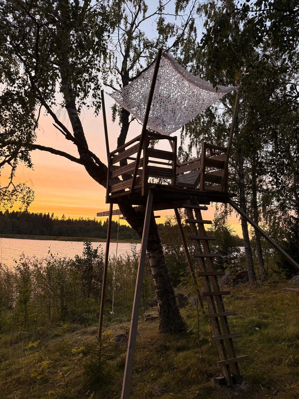 Treehouse, view full screen